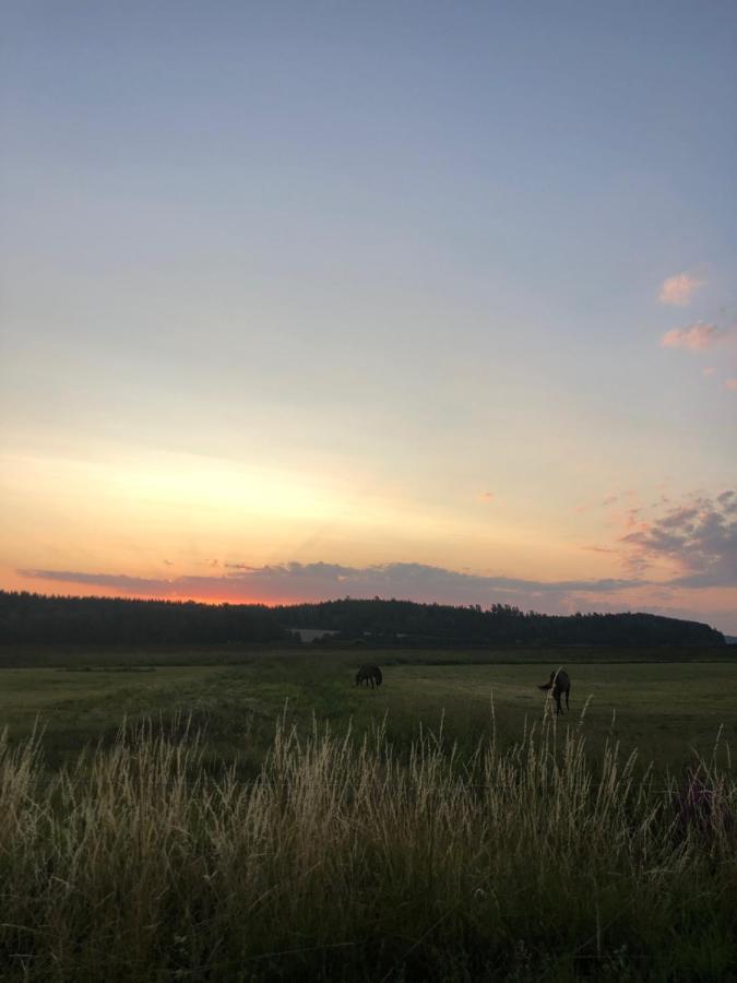 Runnvikens Pensionat Tystberga Esterno foto