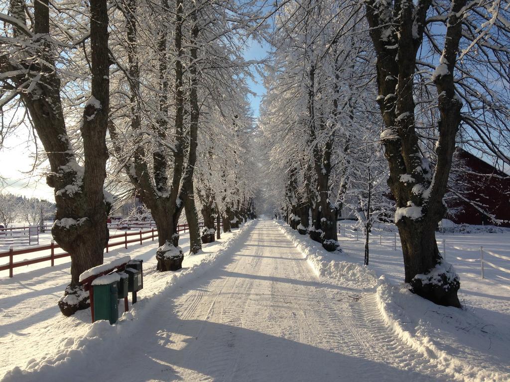 Runnvikens Pensionat Tystberga Esterno foto
