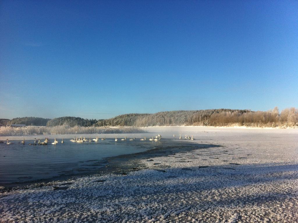 Runnvikens Pensionat Tystberga Esterno foto